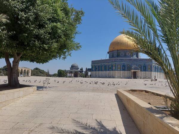 رام الله - "القدس" دوت كوم