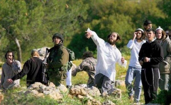 الخليل - "القدس" دوت كوم
