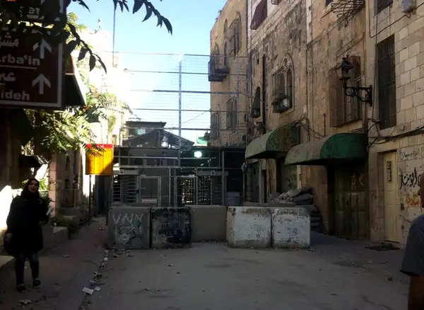 الخليل - "القدس" دوت كوم