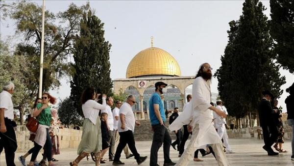 القدس- "القدس" دوت كوم