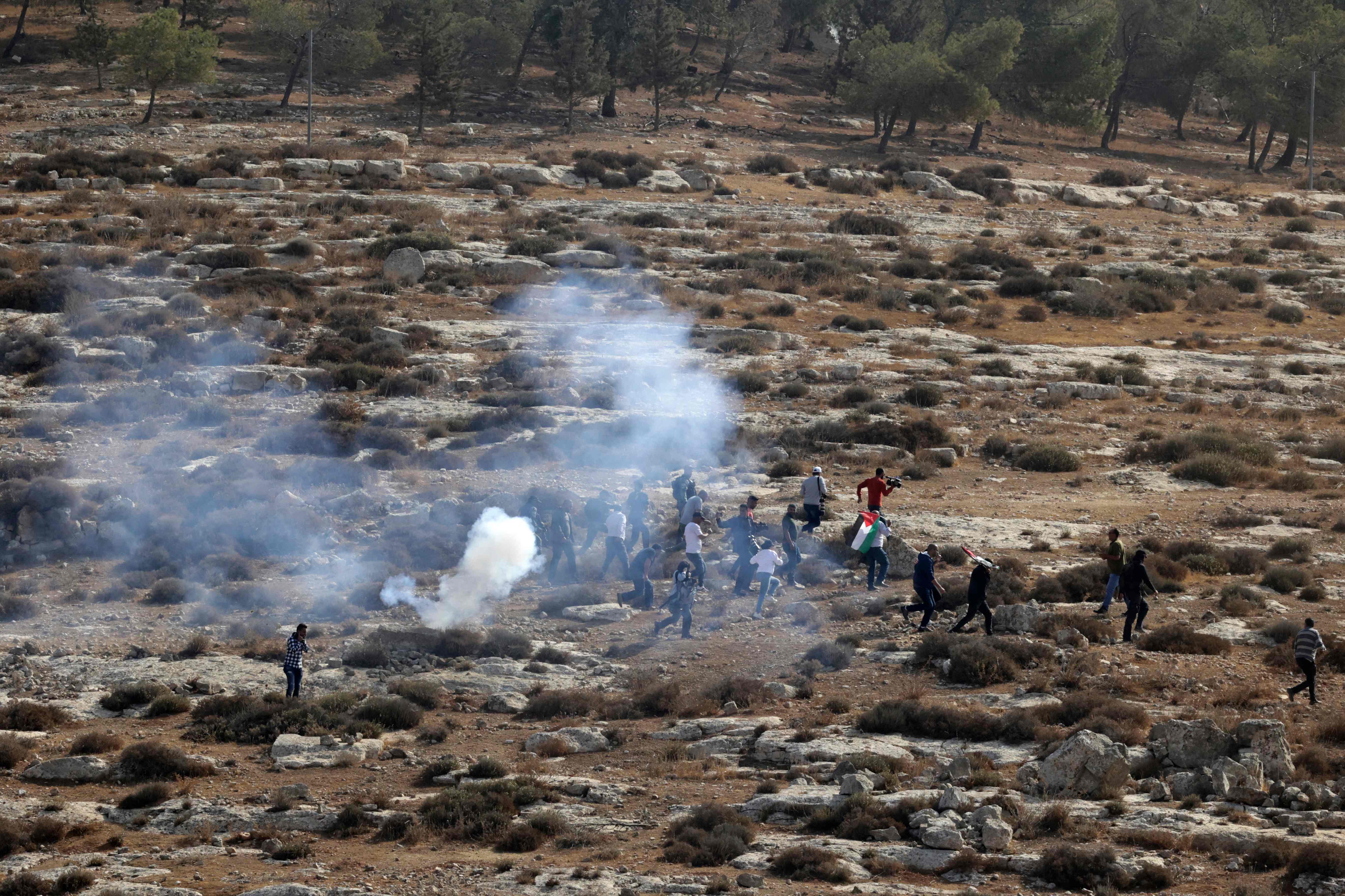 الاحتلال يهاجم المزارعين ونشطاء كانوا يقطفون ثمار الزيتون في قرية التواني بالخليل .. تصوير: "الفرنسية"