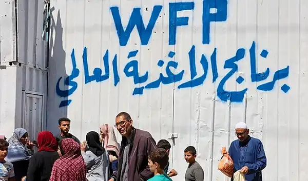 غزة- "القدس" دوت كوم