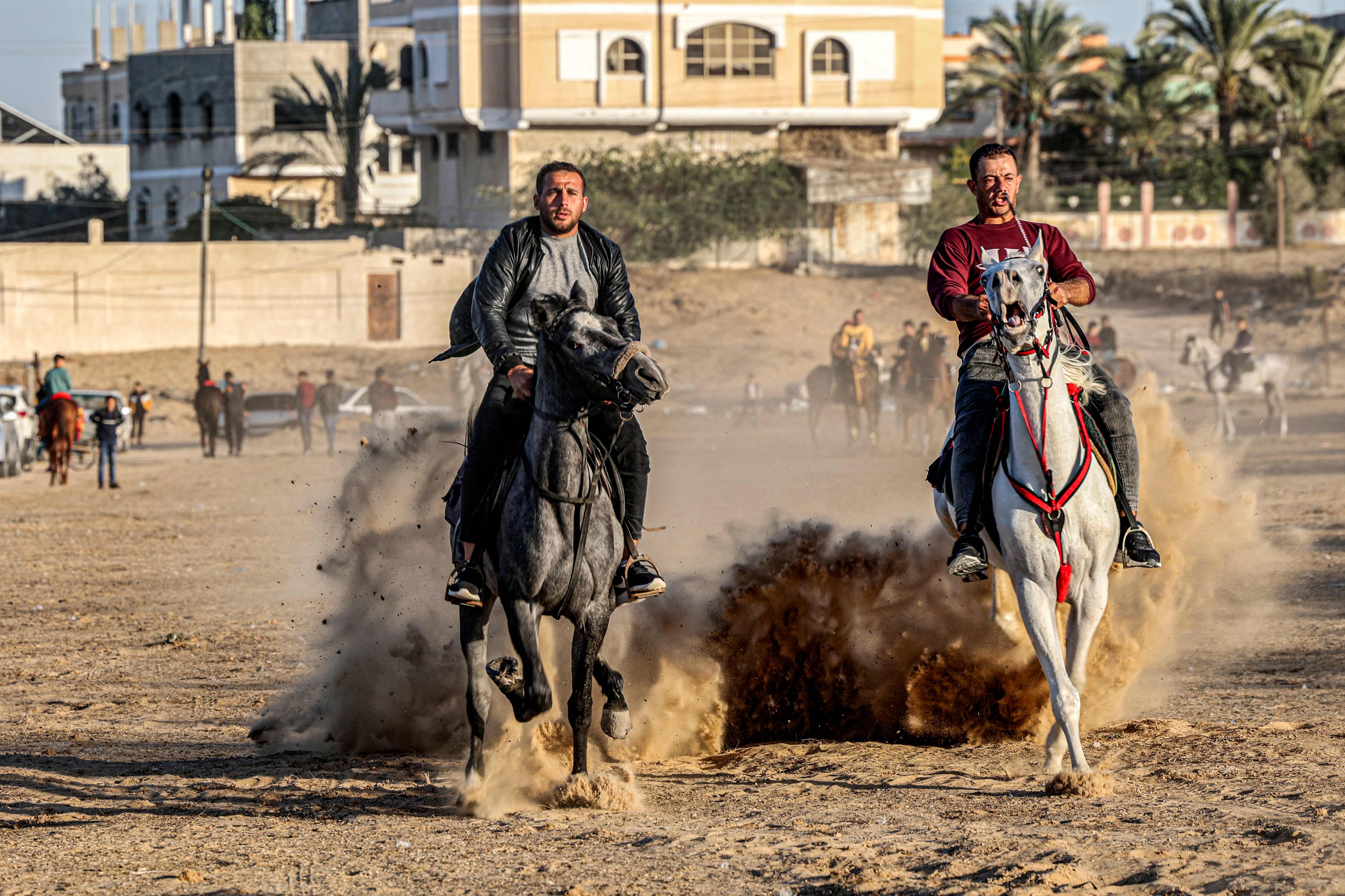 استعراض لمهارات الخيل خلال حفل زفاف بغزة .. تصوير: "الفرنسية"