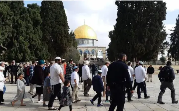 رام الله- "القدس" دوت كوم