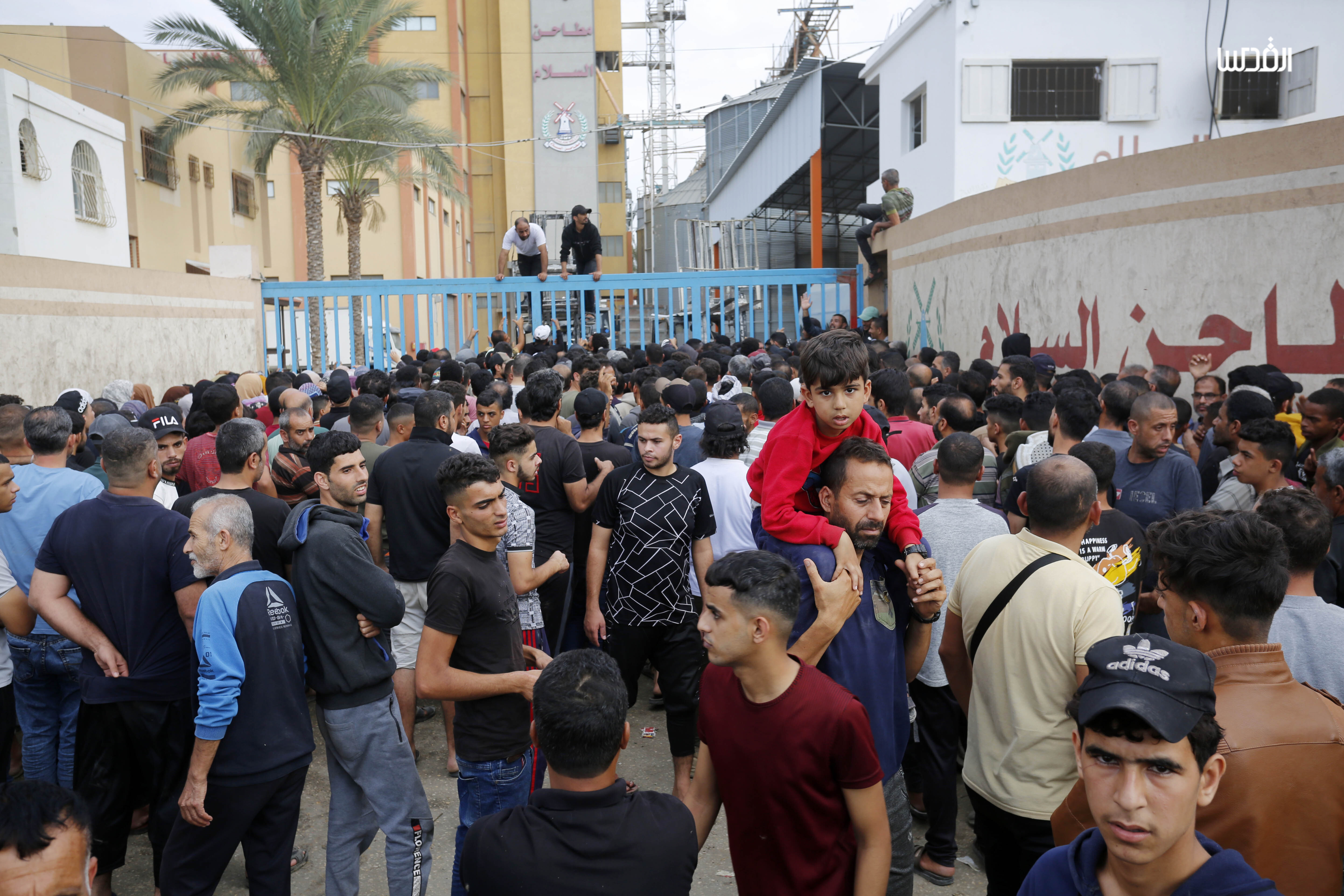 أزمة الطحين في قطاع غزة.. طوابير طويلة وكميات شحيحة