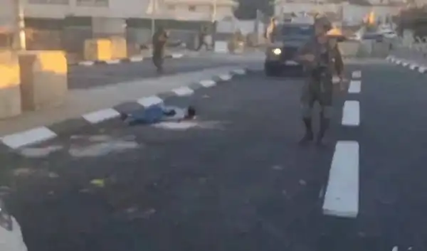 الخليل - "القدس" دوت كوم