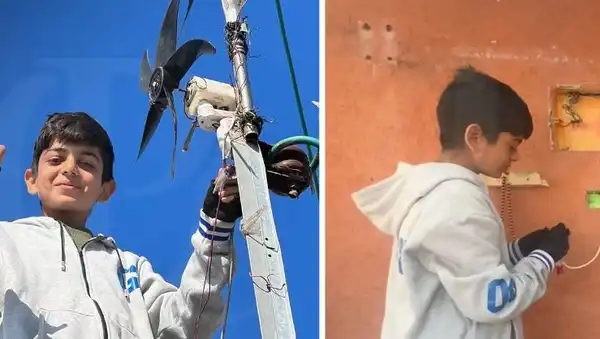 شبكة التلفزيون العربي