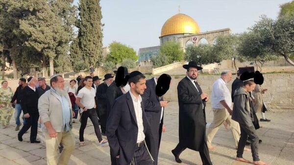 القدس - "القدس" دوت كوم