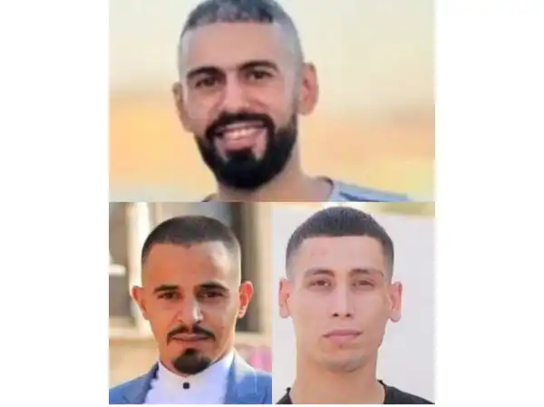 جنين- "القدس" دوت كوم