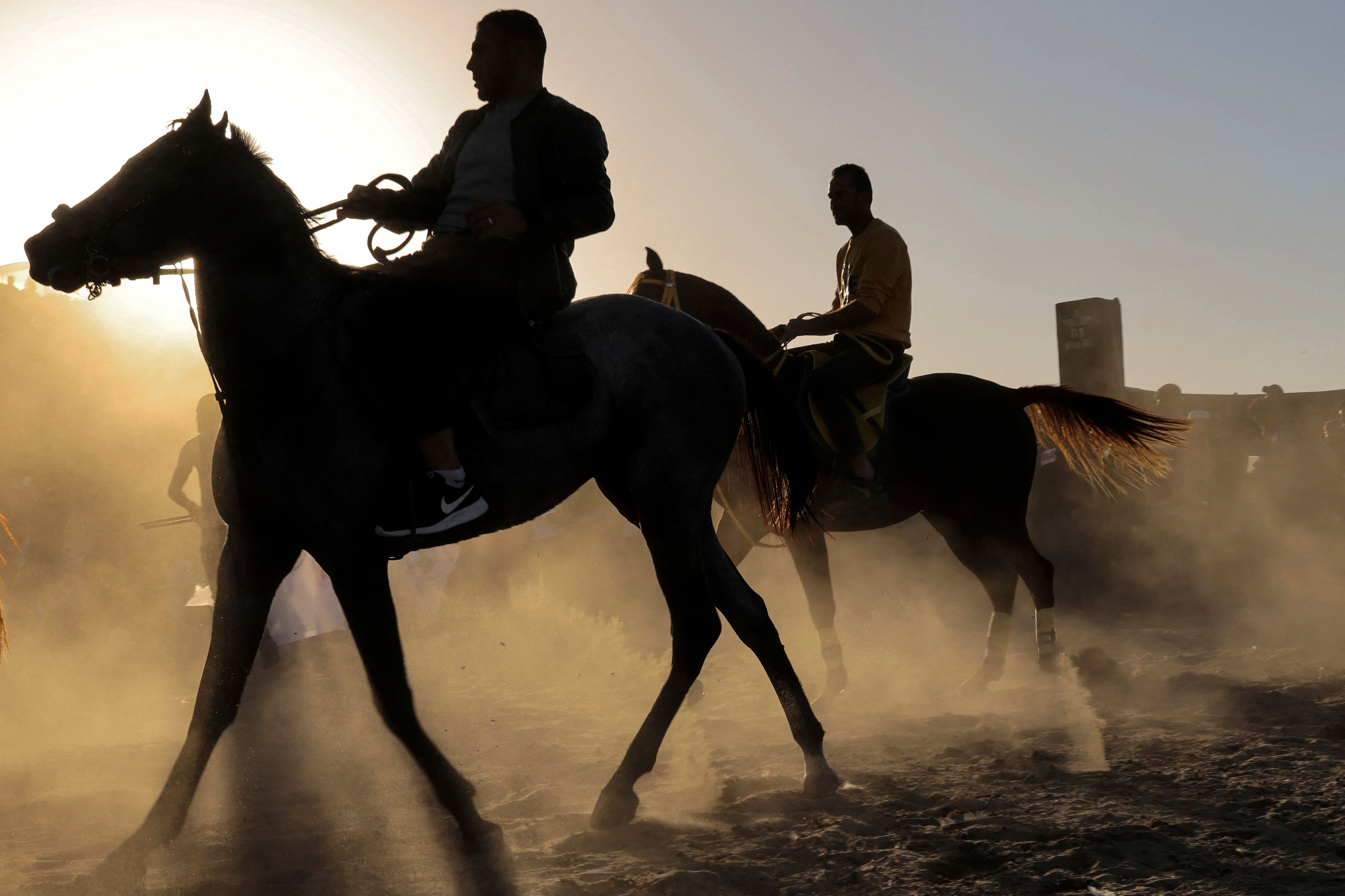 استعراض لمهارات الخيل خلال حفل زفاف بغزة .. تصوير: "الفرنسية"