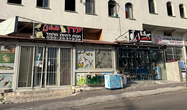 الداخل المحتل- "القدس" دوت كوم