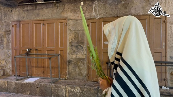 القدس- "القدس" دوت كوم - من احمد جلاجل
