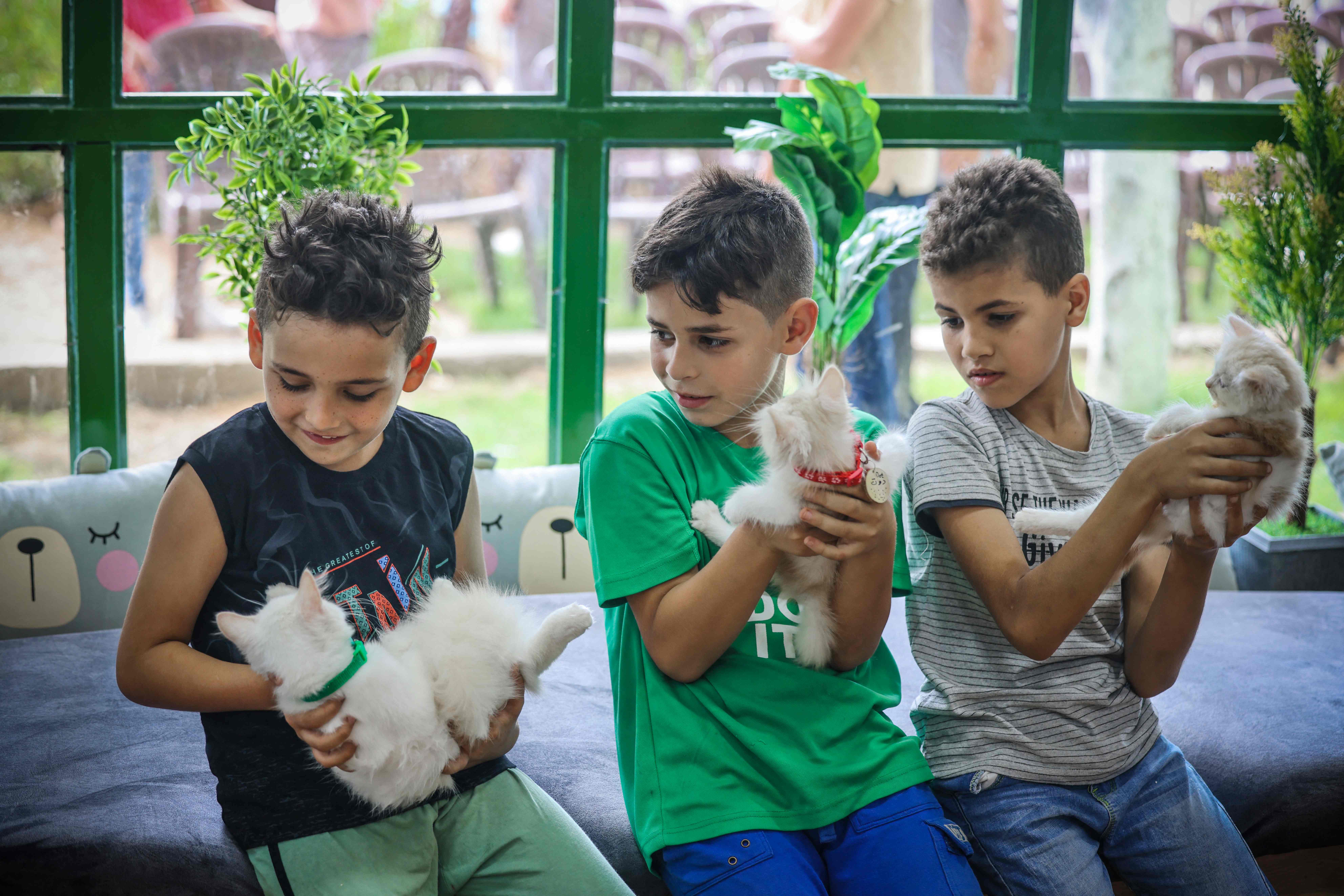 افتتاح مقهى "كات مياو" بغزة مخصص للقطط .. تصوير: "الفرنسية"