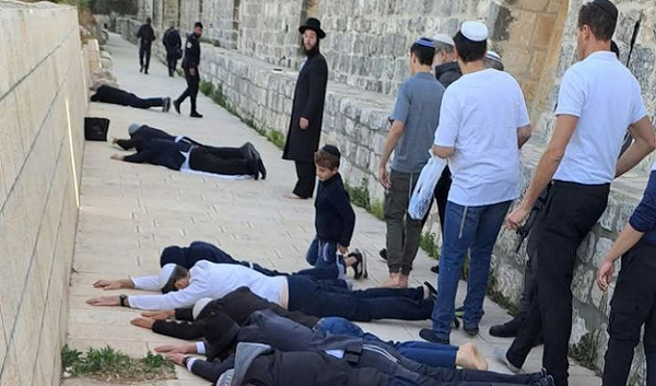 القدس- "القدس" دوت كوم