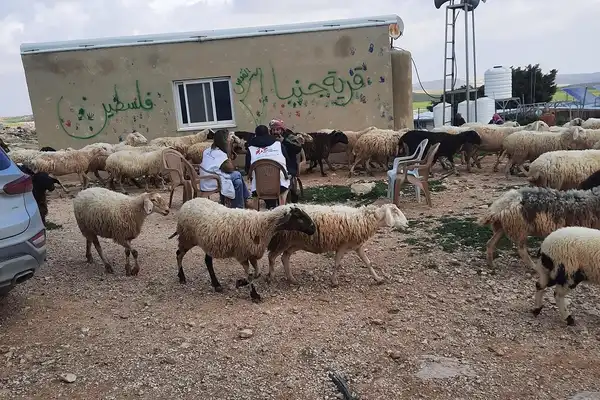 الخليل - "القدس" دوت كوم