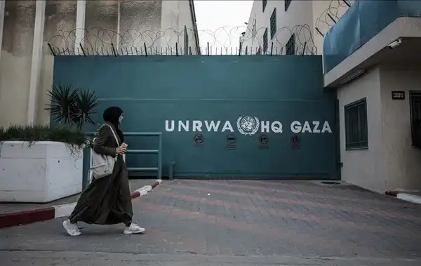 الجزيرة