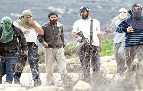 الخليل - "القدس" دوت كوم