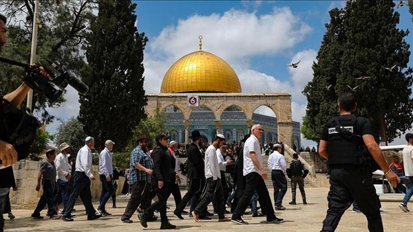 القدس - "القدس" دوت كوم