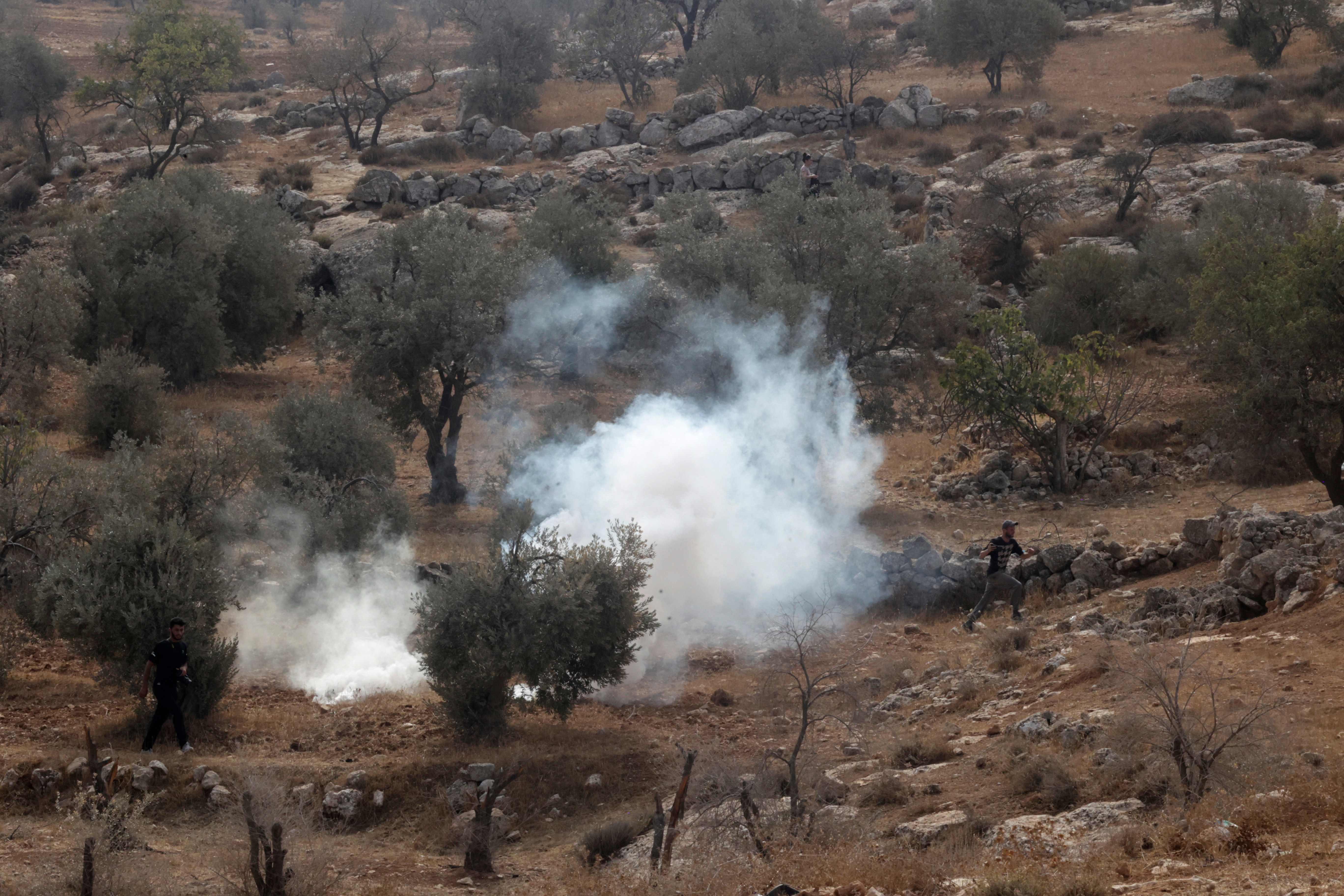 الاحتلال يهاجم المزارعين ونشطاء كانوا يقطفون ثمار الزيتون في قرية التواني بالخليل .. تصوير: "الفرنسية"