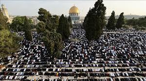 القدس- "القدس" دوت كوم