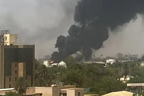 شبكة التلفزيون العربي