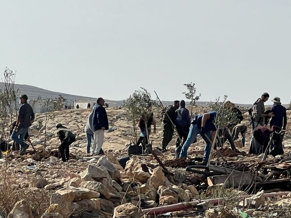 الخليل- "القدس" دوت كوم
