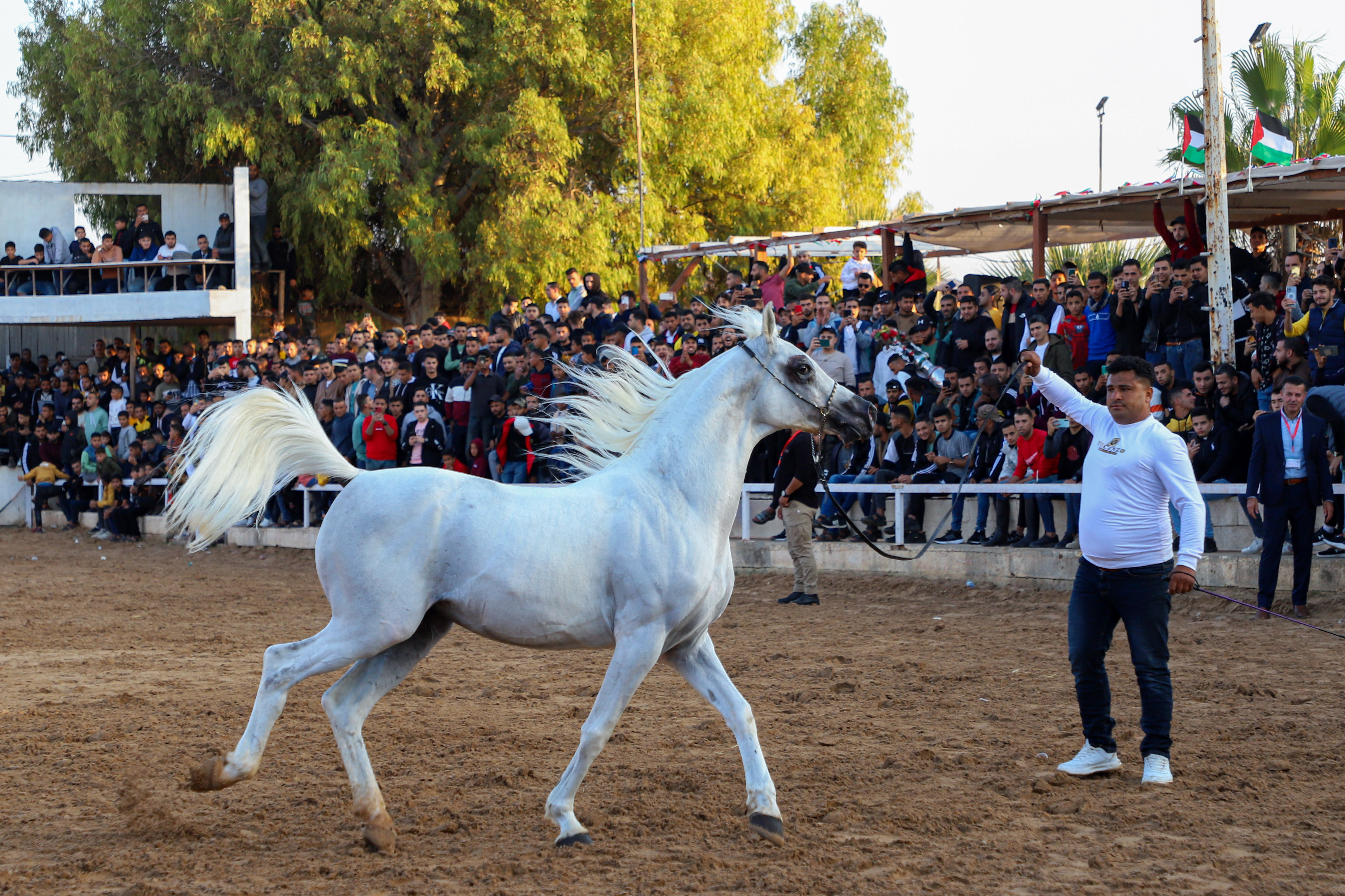 مسابقة لاستعراض مهارات الخيل بغزة .. تصوير: "شينخوا"