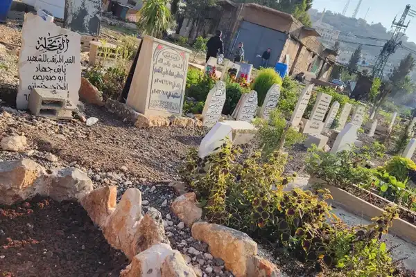 الجزيرة