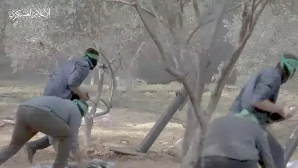 شبكة التلفزيون العربي