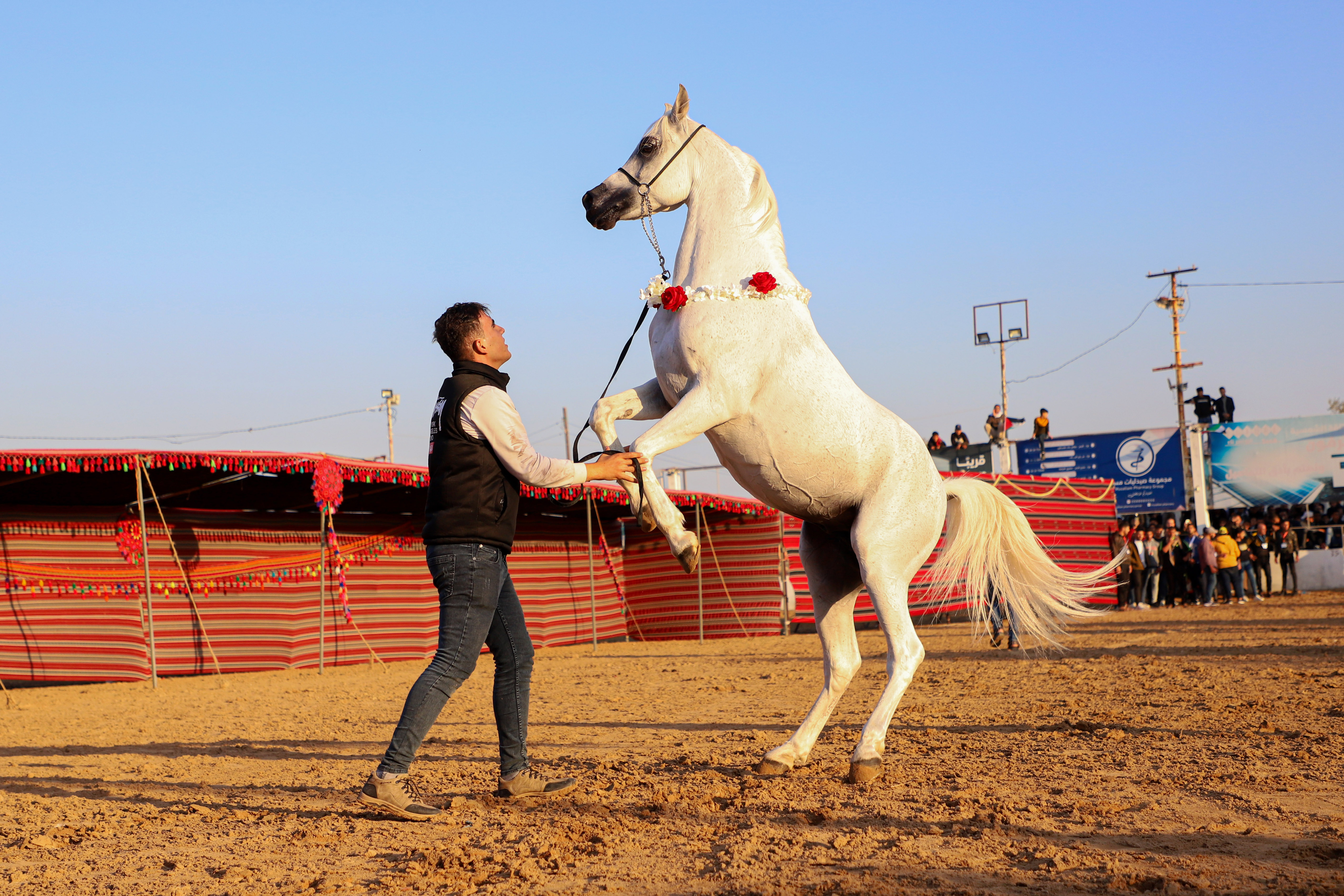 مسابقة لاستعراض مهارات الخيل بغزة .. تصوير: "شينخوا"