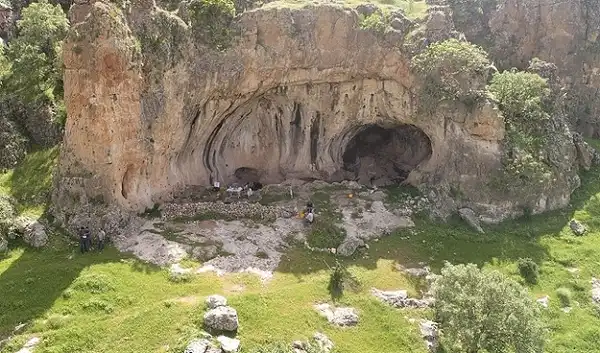 وكالات