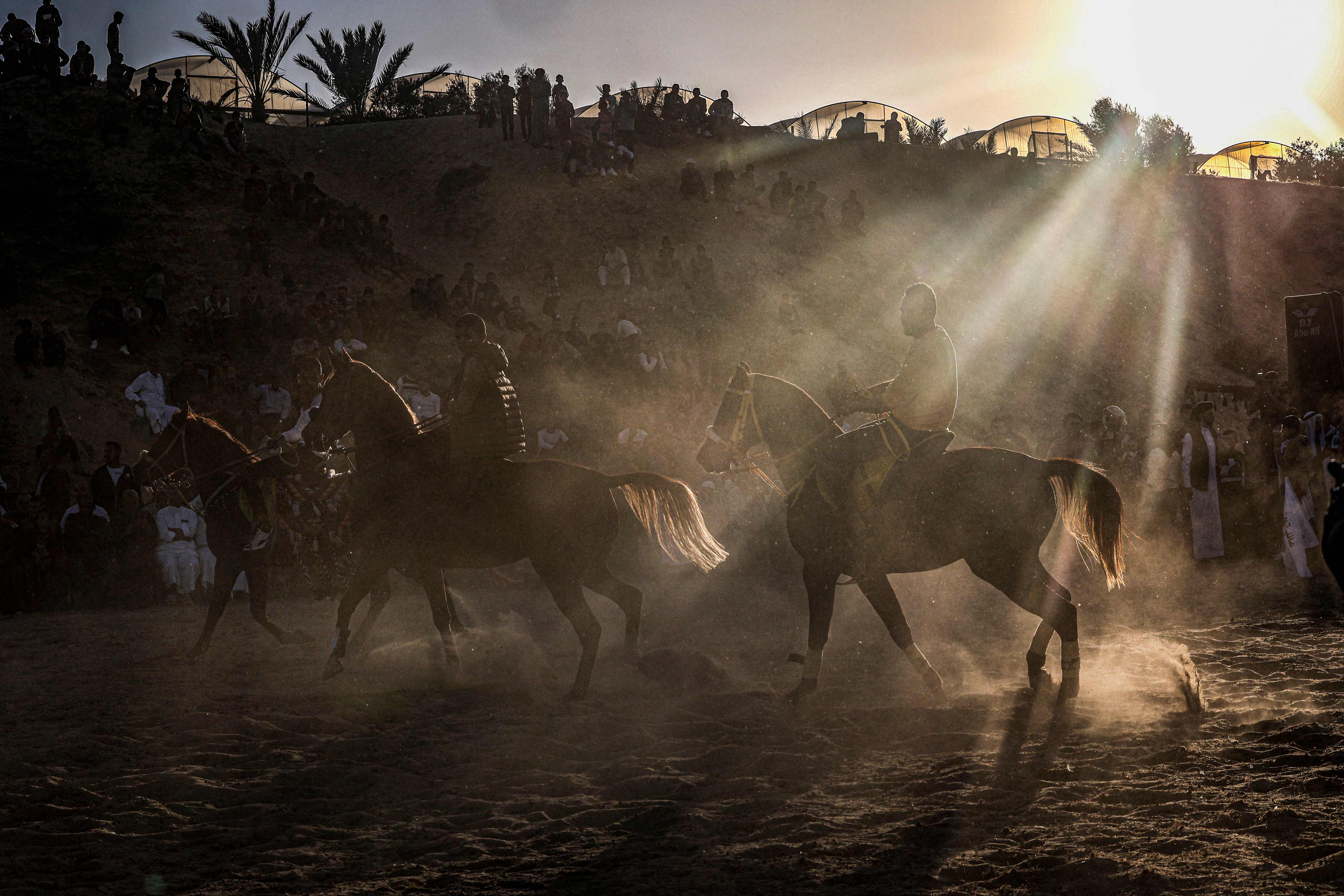 استعراض لمهارات الخيل خلال حفل زفاف بغزة .. تصوير: "الفرنسية"
