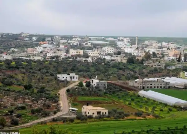 جنين - "القدس" دوت كوم