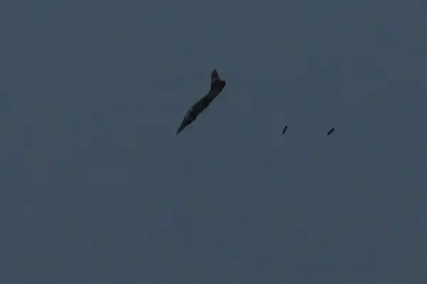 وكالات