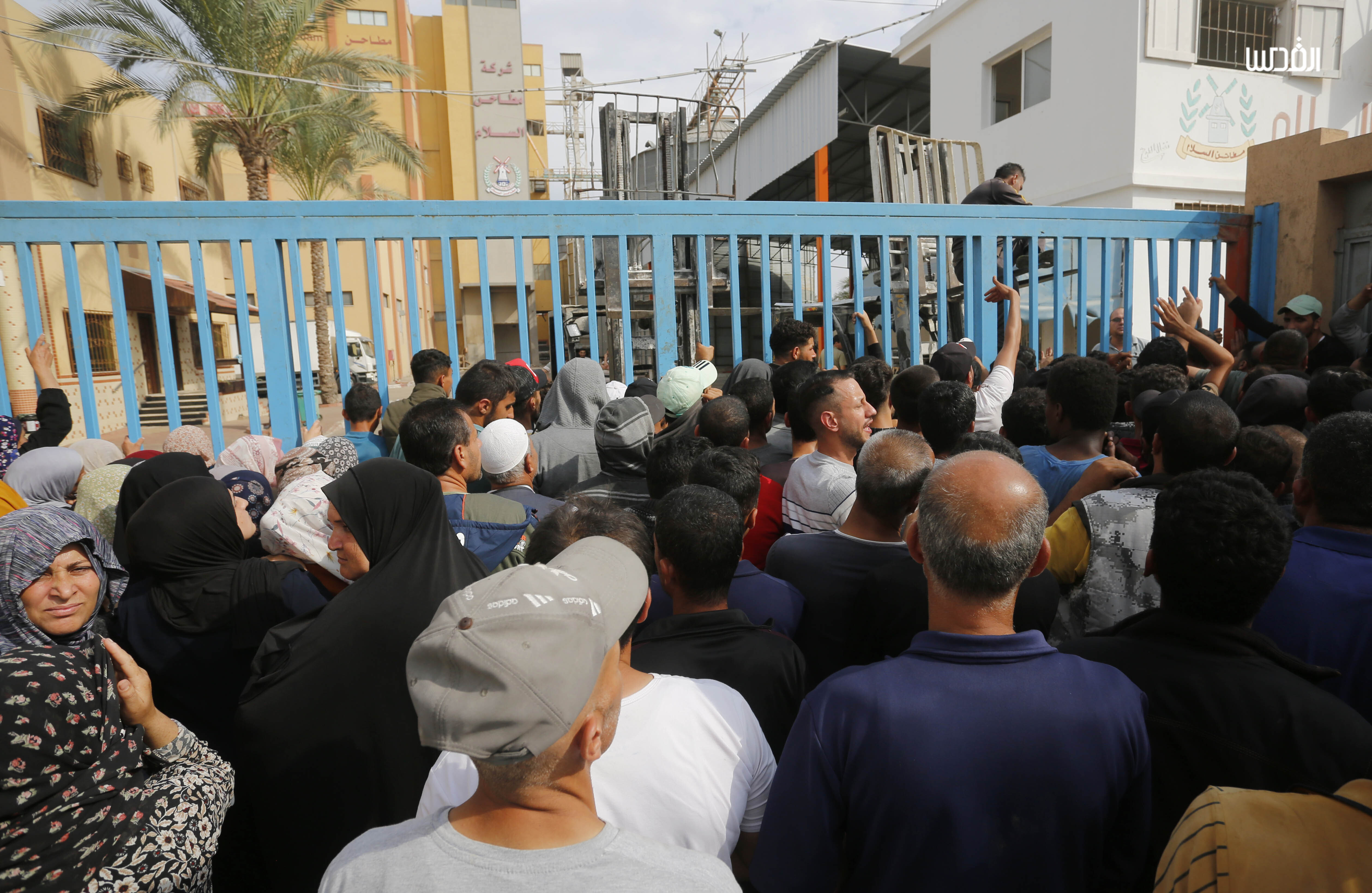 أزمة الطحين في قطاع غزة.. طوابير طويلة وكميات شحيحة