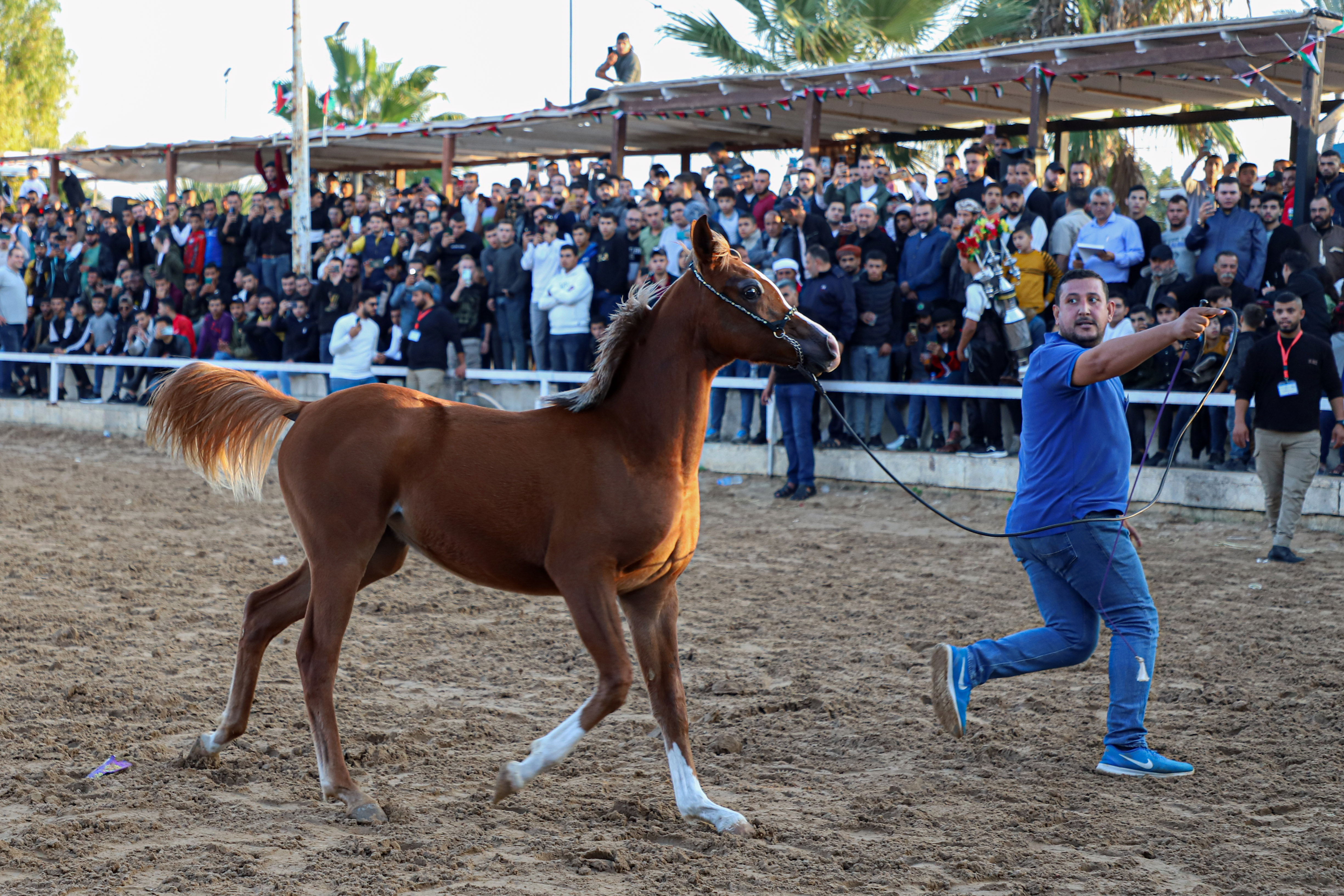 مسابقة لاستعراض مهارات الخيل بغزة .. تصوير: "شينخوا"