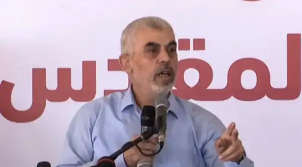 الجزيرة