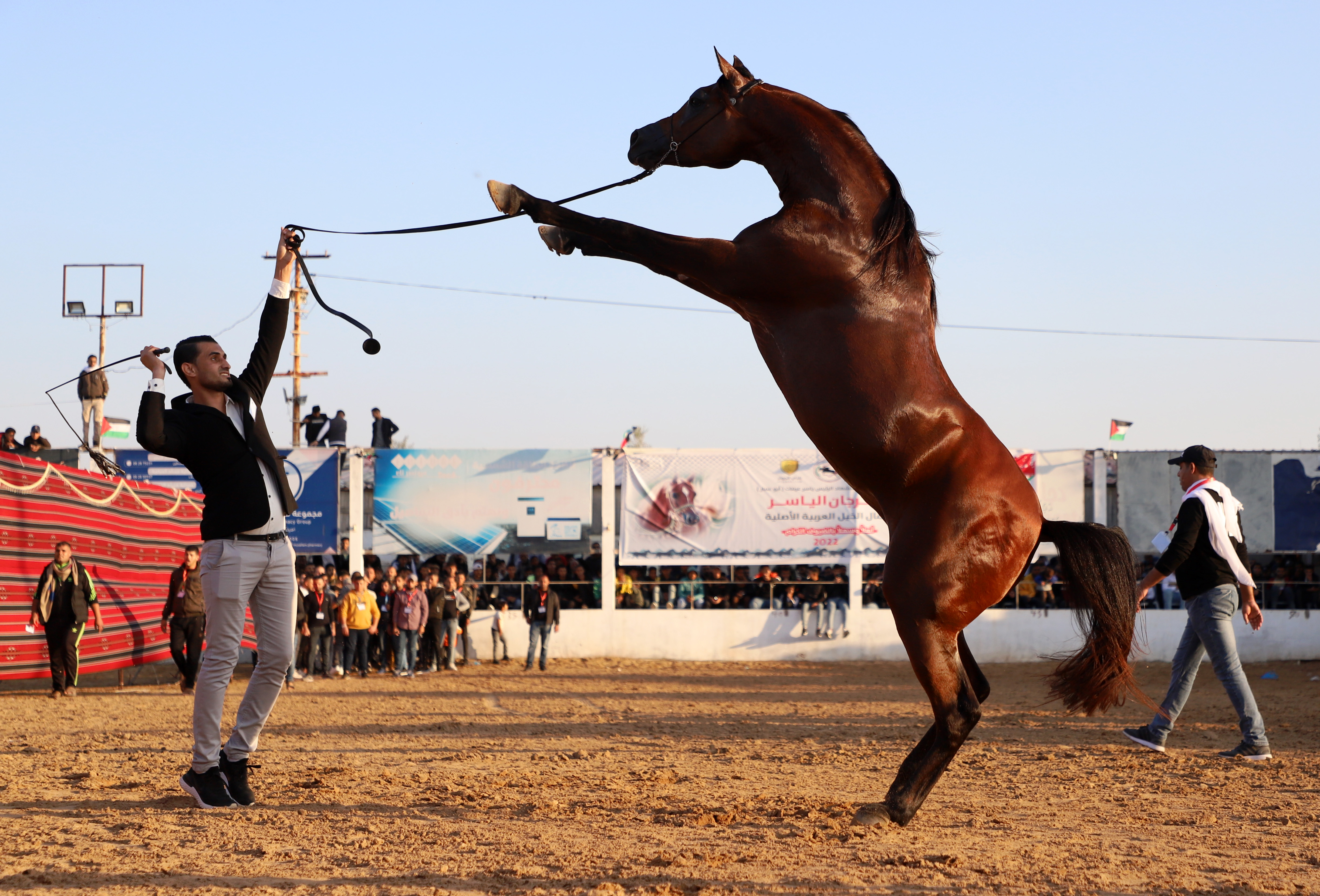 مسابقة لاستعراض مهارات الخيل بغزة .. تصوير: "شينخوا"
