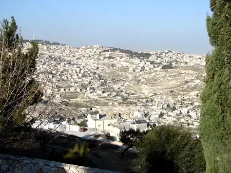 القدس- "القدس" دوت كوم-- محمد زحايكة