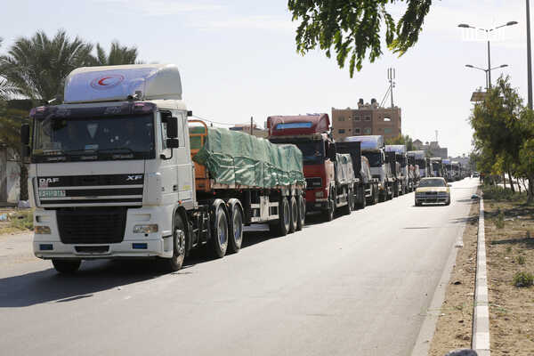 القاهرة - (شينخوا)