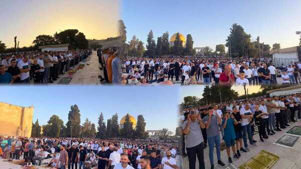 القدس- "القدس" دوت كوم