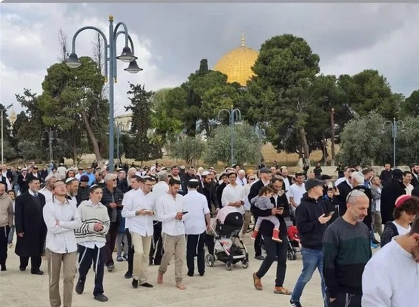رام الله - "القدس" دوت كوم