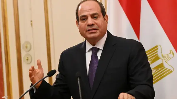 القاهرة - (شينخوا)