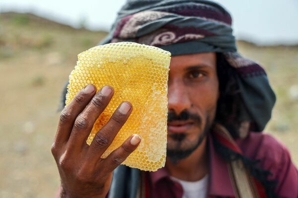 العسل اليمني.. بين مرارة الحرب وتبعات التغير المناخي