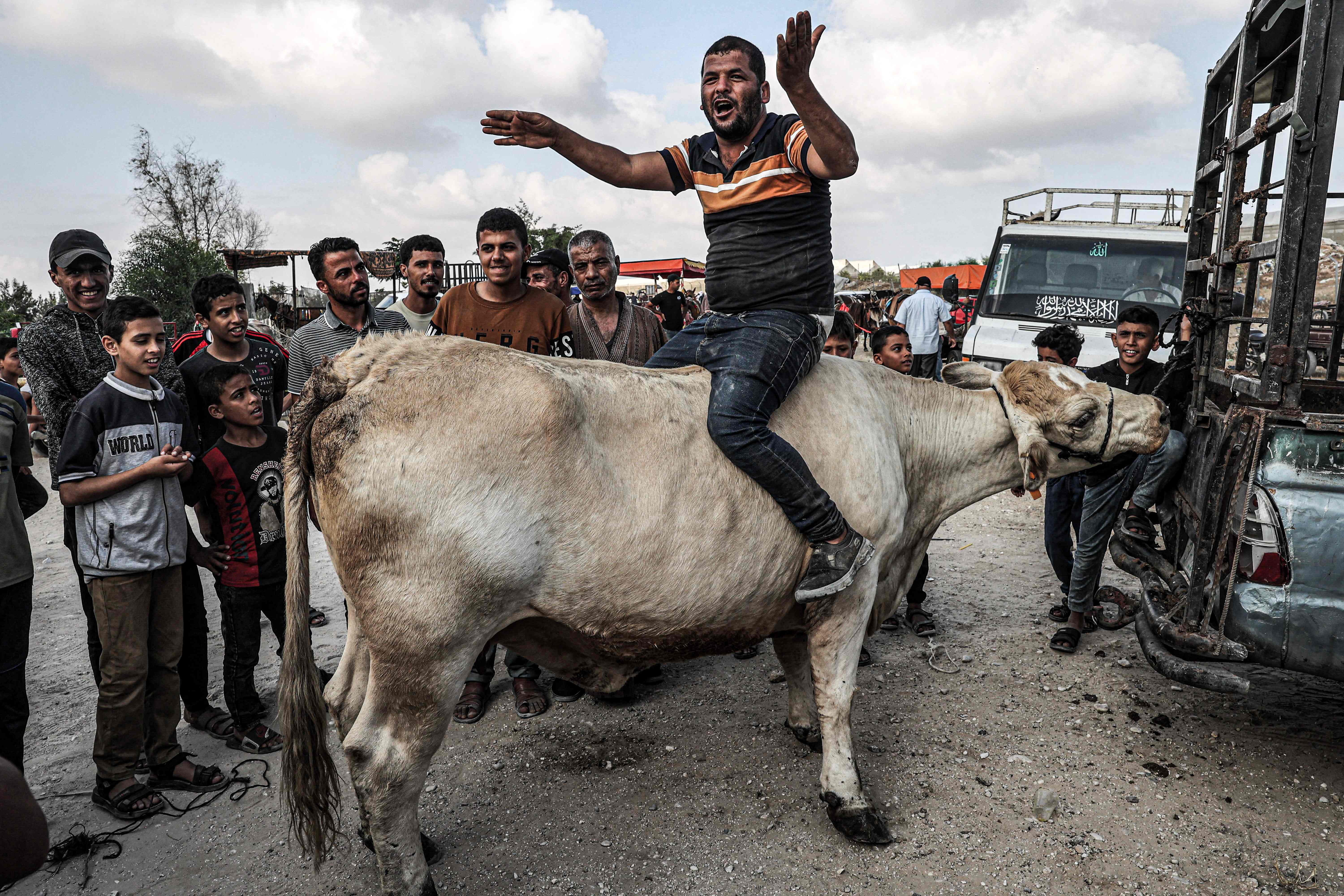 سوق الأضاحي في قطاع غزة .. تصوير: "الفرنسية"