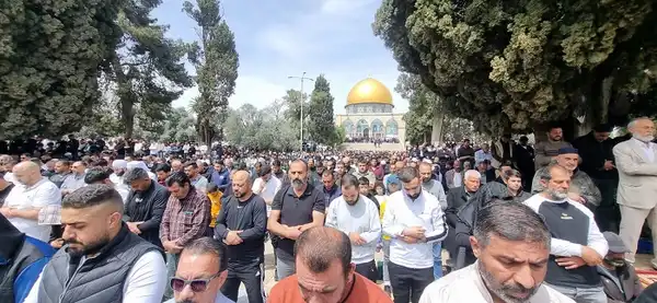 القدس- "القدس" دوت كوم
