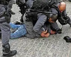 جنين - "القدس" دوت كوم