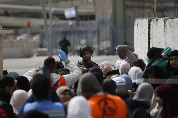 قلقيلية- "القدس" دوت كوم
