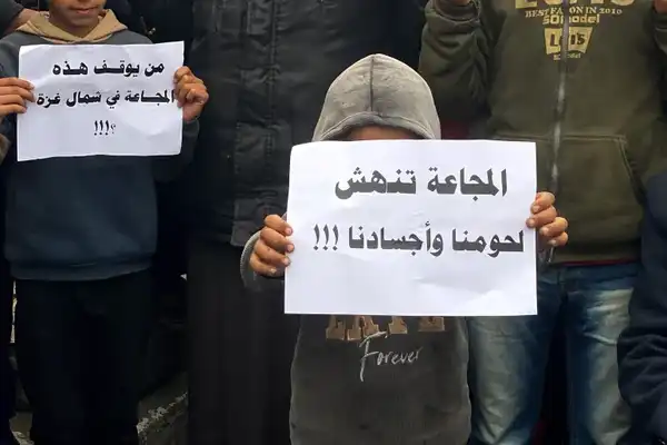 الجزيرة
