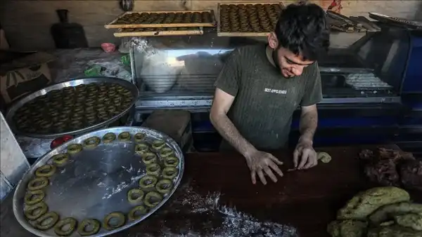 الأناضول